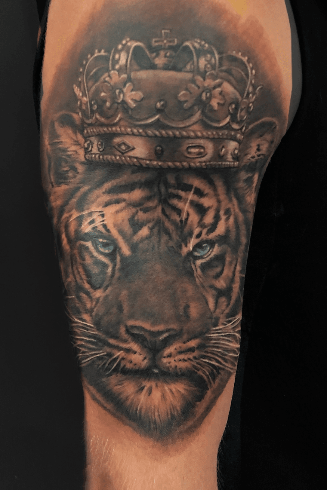 Yesterday tattoo tiger tattoo with crown tattoo design in new concept hope  u like ankittattooartist ankitinkzonetattoos ankh To  Instagram