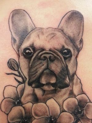 #frenchbulldog #bulldogtattoo #blackandgrey #portrait #dogtattoos 