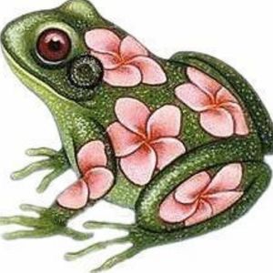 Flower frog 
