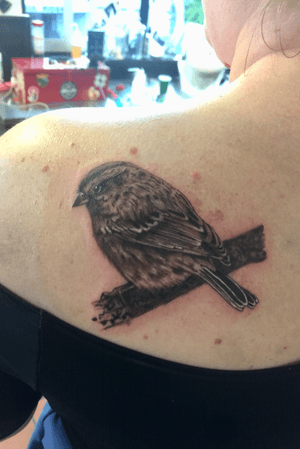 Realism sparrow tattoo