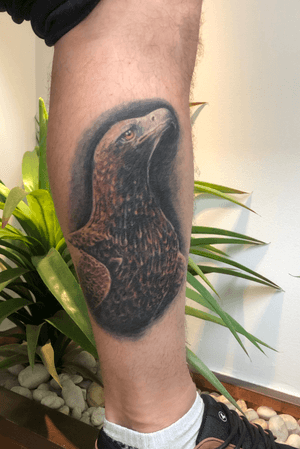Eagle Tattoo 😊 #eagletattoo #eagle #colourrealism 