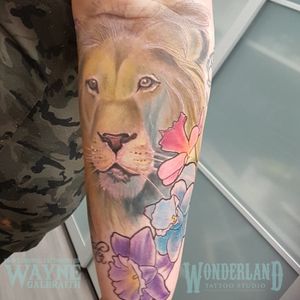 Got to do this cool lion yesterday, lots of color in one sitting tough lady! #liontattoo #lion #colortattoo #wonderlandtattoo #mdwipeoutz @wonderlandtattoostudioskw www.wonderlandstudioskw.com
