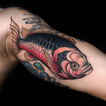 • fish ♥️ bitte mehr davon! Danke dir fürs einspringen • #fish #fishface #color #tat #tattoo #ink #neotrad #girlswithtattoos #balmtattoo #inked #sketch #drawing #illustration #neotraditional #ladytattooers #ntgallery #germantattooers #neotradeu #tattoos #inkedmag #riagoldtattoo @ladytattooers @balmtattoogermany @germantattooers @d_world_of_ink @neotraditionaltattooers @tattoosnob @neotraditional_world @nxt.lvl.tattoo @neotraditionaleurope @skinart_mag @feelfarbig @finest_tattoo_collection @tradtattoos @neotraditionalgermany
