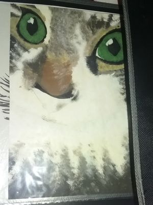 Unfinished acrylic of a cat I once owned.