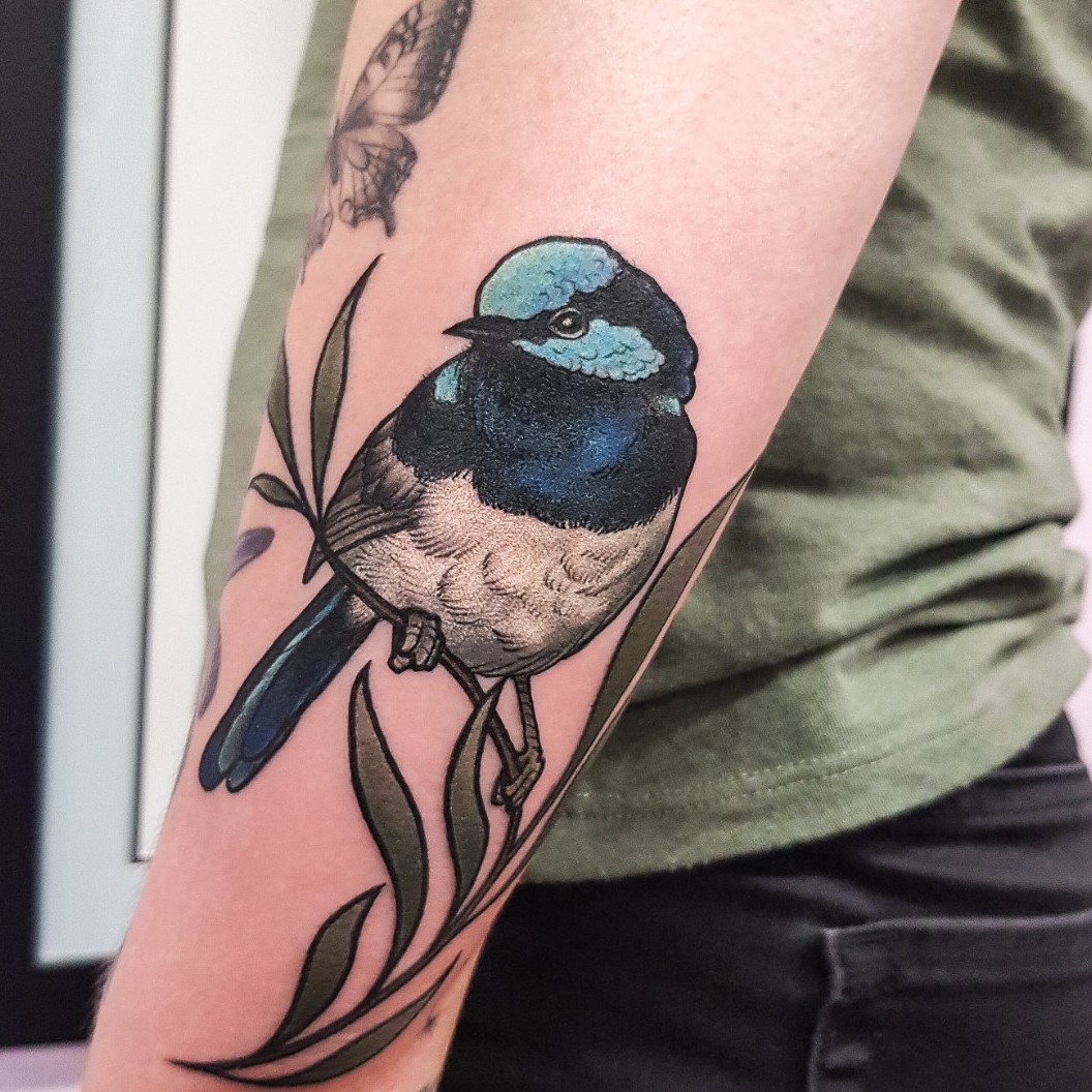 Blue Wren Bird Tattoo Michelle Writesya