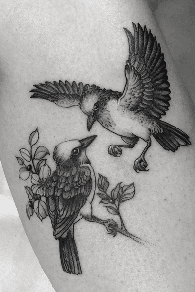 • Memorial tattoo • #birds #memorialtattoo #linework #blackwork #birds #fineline 