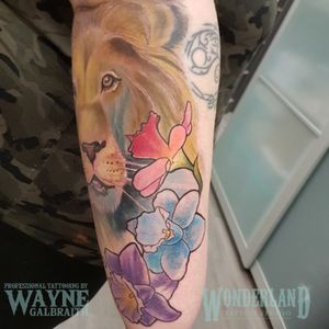 Got to do this cool lion yesterday, lots of color in one sitting tough lady! #liontattoo #lion #colortattoo #wonderlandtattoo #mdwipeoutz @wonderlandtattoostudioskw www.wonderlandstudioskw.com