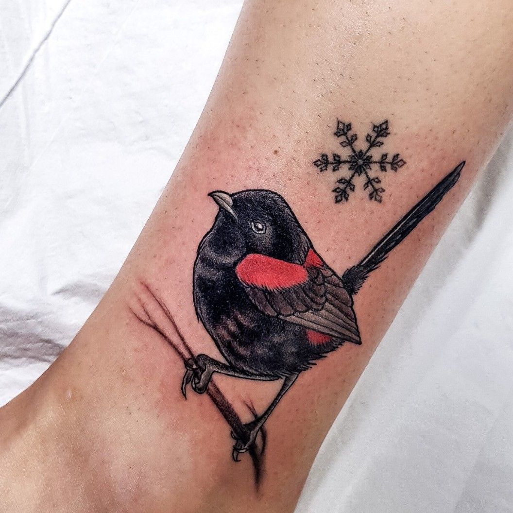 red winged blackbird  Just TeeJays Blog