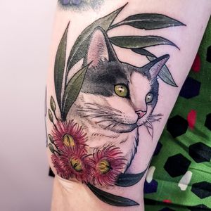 Cat portrait with Eucalyptus