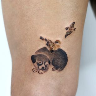 Tatuaje de Jangbarim #Jangbarim #cutetattoos #cutetattoo #cute #painting #illustrative #dog #bird #animals #nature # pet portrait