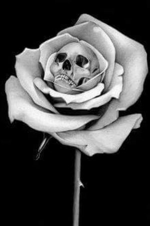Skull 2 Rose