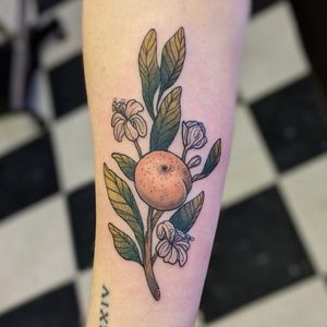 Neotraditional Clementine Fruit Branch Tattoo