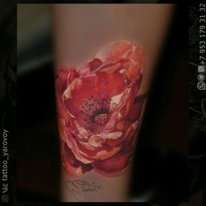 Realistic tattoo with red flower. Красный цветок в реализме. #flower #flowers #flowertattoo #realism #realistic 
