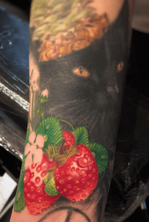 🍓🍓🍓 colored these strawberries this evening🍓🍓🍓. #tattoo #tattoos #tattooed #ink #inked #inkedgirls #girlswithtattoos #girlswithink #eternaltattooink #strawberry #colortattoo #pnw #kitty #cat #cattattoo #strawberrytattoo #fkironstattoomachines #dipcap #heliostattooneedles #d_world_of_ink