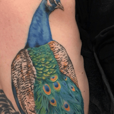 #peacock #peacocktattoo #realism #realismtattoo #colortattoo #ink #inked #tattooartist #art #tattooart #inkedgirl #Tattoodo #fkirons 