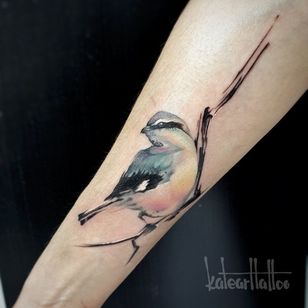 Tatuaje de Kate Sergeeva #KateSergeeva #openbookings #cooletattoos #bird #sparrow #watercolor #painterly