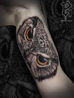Owl face tattoo. For bookings: email me at robinstattoos@gmail.com . . . . . . . . . #blackandgreytattoo #owltattoo #realismtattoo #realism #newjerseytattooartist #nyctattoos 