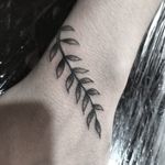 Kbide Tattoo  Whats:48-999843904 #kbidetattoo #tattoo #tattoos #tattoosofig #tattoosofinstagram #tattoodo #tattoo2me #tattoo2us #ink #inked #inkedup #fineline #electricink #floripa #floripando #florianopolis #ilhadamagia #campeche #riotavares #lagoadaconceicao #ufsc #trindade #morrodaspedras
