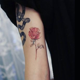 Tatuaje de Gray Un #GreyUn #openbookings #cooletattoos #color #realism #realistic #watercolor #rose #flower #floral
