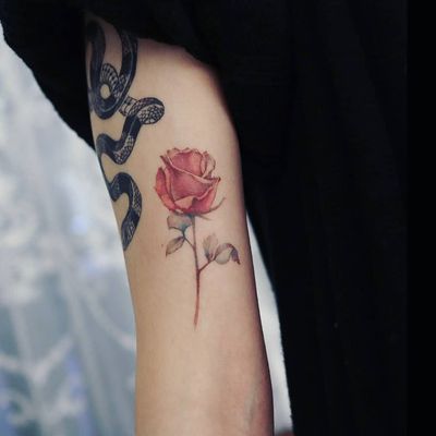 Tattoo by Grey Un #GreyUn #openbookings #cooltattoos #color #realism #realistic #watercolor #rose #flower #floral