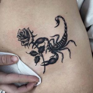 Scorpion and rose