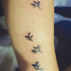 Tattoo pássaros 