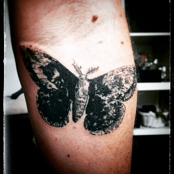 Tattoo from Alibi Tattoo
