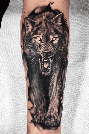 Now booking for April @beyondkreationstattoo in Fullerton. Gotta keep pushing through it all. Thanks again for all the love and support. Start of a sleeve from a few weeks ago. 🤙🏽 #peaces #blackandgrey #fullerton #orangecounty #oc #wolftattoo #empireinks #blessed #inspire #motivation #grind #keepitmovin #filipinoartist #learnandgrow #loveandinity #peace #home #familyfirst