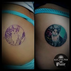 ~ Thor 🔥@PaiirStudio#Tattoo #Mascota #Pet #Cat #Love #Girls #Sexy #Tatuaje #Color #Tatuajes #Bogotá #Art #Resilience