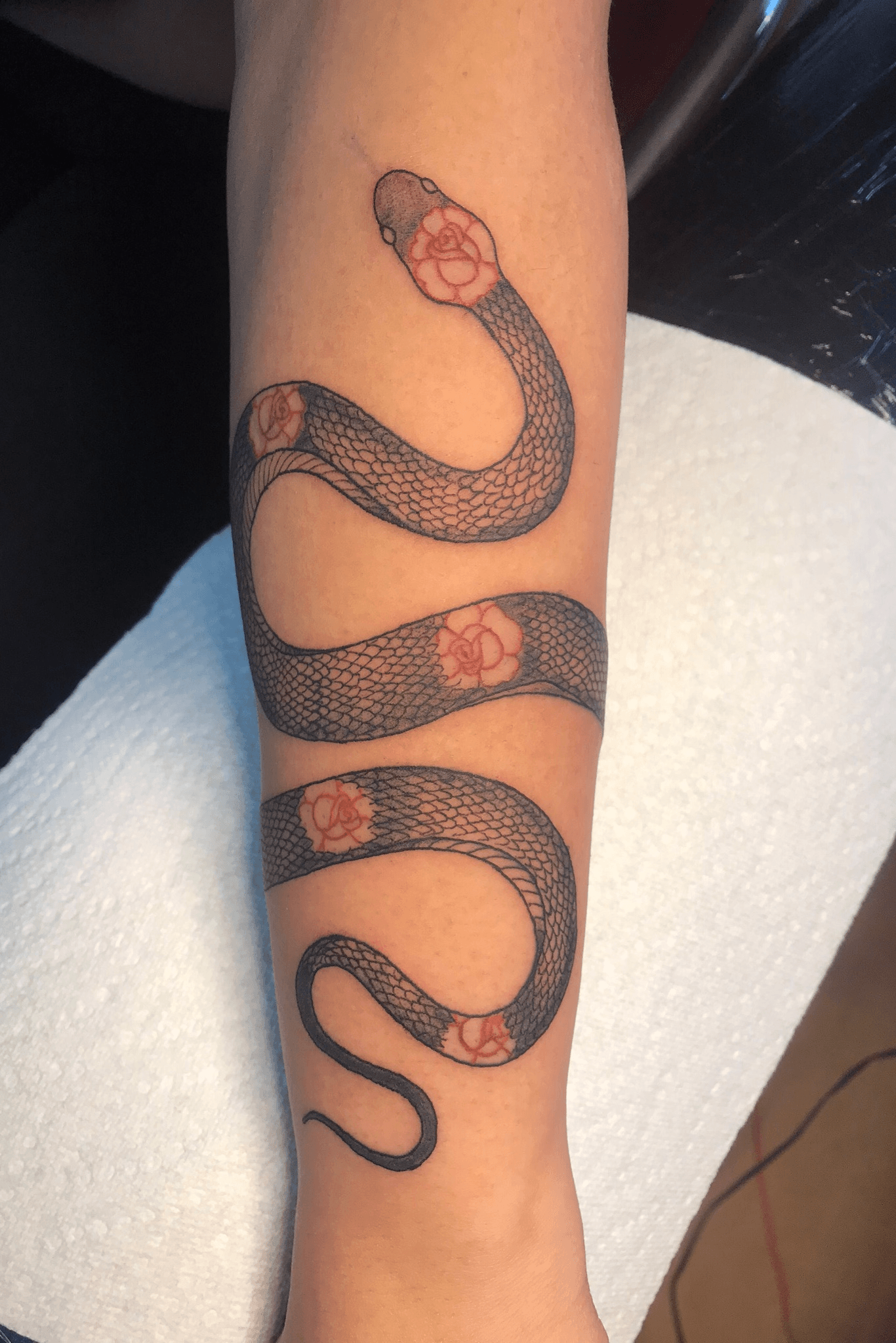 Aggregate 61 copperhead snake tattoo  incdgdbentre
