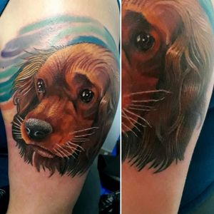 #doglover #dogtattoos #doglove #dog #color #tattooart #art #dogportrait #portait #tattoocommunity #beautiful 