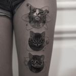 Tattoo by Inal Bersekov #InalBersekov #blackandgrey #realism #realistic #hyperrealism #cat #kitty #petportrait #space #stars #planets