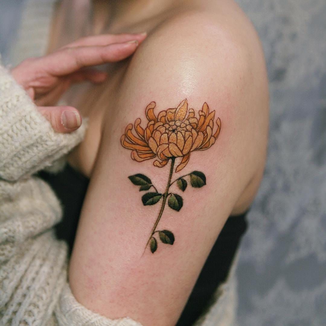 Fine line chrysanthemums tattoo on the bicep