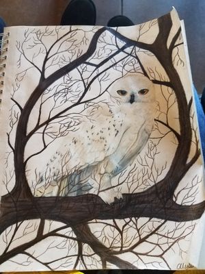 My second owl but in full color and on a larger scale. 