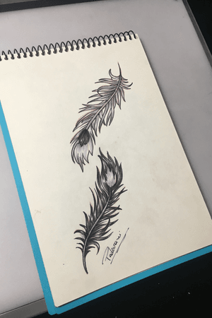 #feather #feathers #penas #tattoosketch #thiagopadovani #mementomoritattoostudio