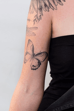 Butterfly arm piece 