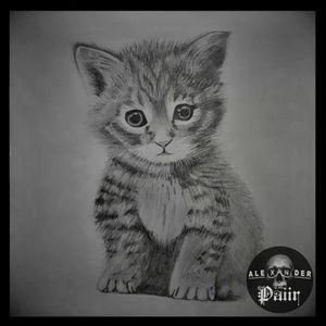 ~ Cat 🔥@PaiirStudio #Drawing #Cat #Gato #Art #Pet #Animal