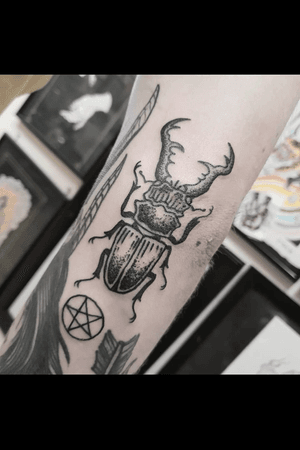 Stag beetle done by Marton Koblo at LA INK Bayswater 