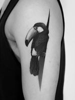 Tattoo by Pawel Indulski #PawelIndulski #naturetattoo #nature #animal #plants #environment #blackandgrey #toucan #bird #feathers