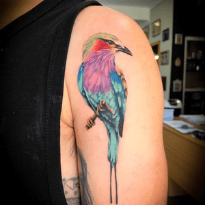 @nikita.jaded did this for @holynickholy the other day. For bookings contact us here on Instagram/Facebook, drop us an email to info@kakluckytattoos.com or give us a call on 0214222963.•••#lilacbreastedroller #colourrealism #colourrealismtattoo #lilacbrestedrollertattoo #birdtattoo #colourtattoo #realistictattoo #kloofstreet #capetown #southafrica #art #support_good_tattooing