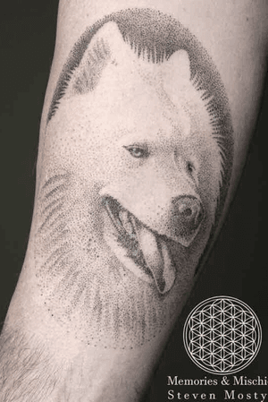 Dotwork Samoyed Portait #dog #samoyed #puppy #dotwork #dotworktattoo #dotworker #realdotwork #animal #passau #munich #stuttgart #linz #wien #rosenheim