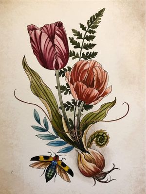 Art by Alice Kendall of Wonderland PDX #AliceKendall #Wonderland #Portland #color #nature #biological #flower #floral #plant #plantlife #ecology #biologicalillustration #illustrative #botanicalillustration