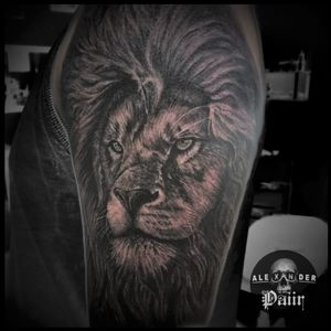 ~ Lion 🔥@PaiirStudio #Tattoo #León #Lion #Tatuaje #RealisticTattoo #Art #BlackAndGray #Realismo #Man #BishopRotary