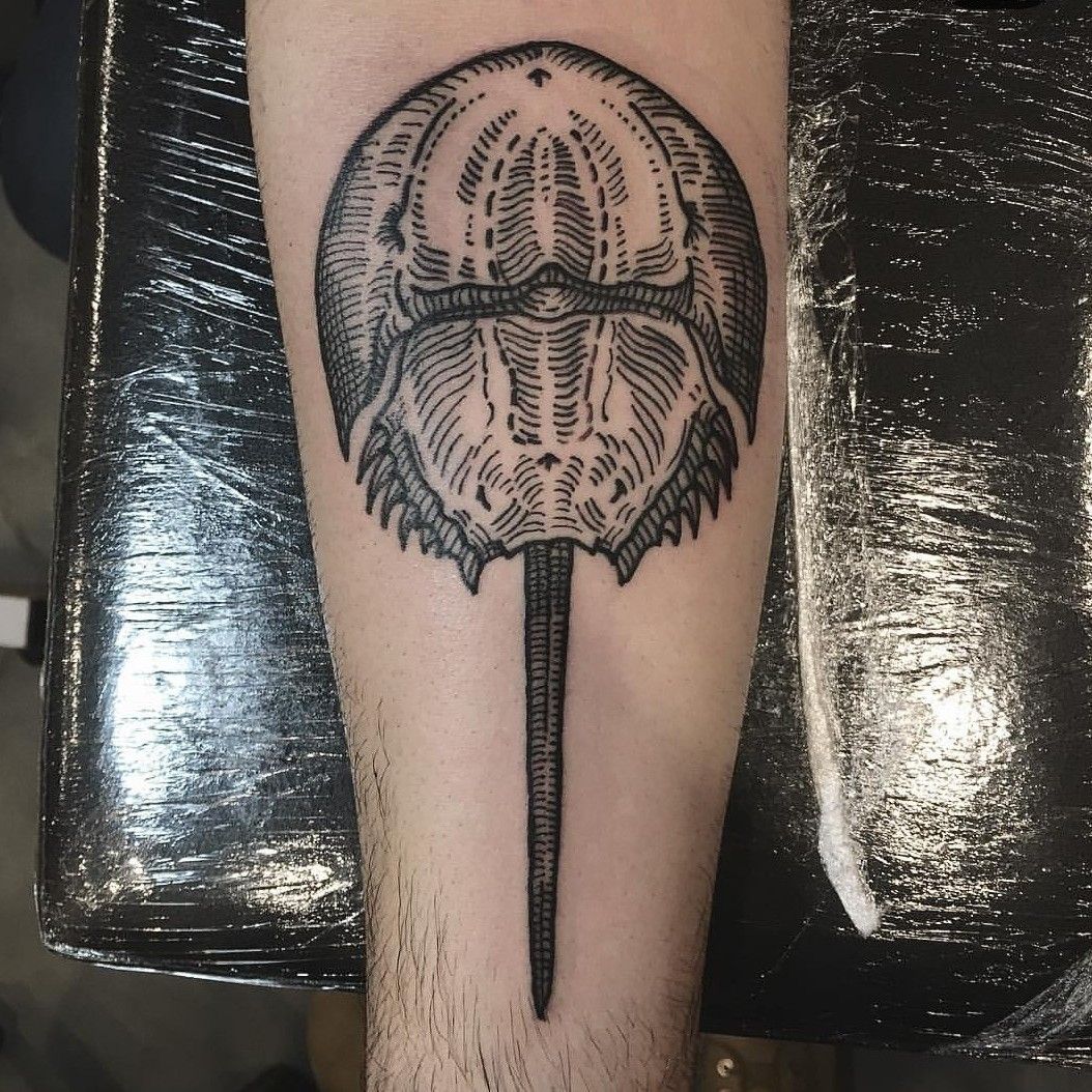 A horseshoe crab by xenaink  Tattoogridnet