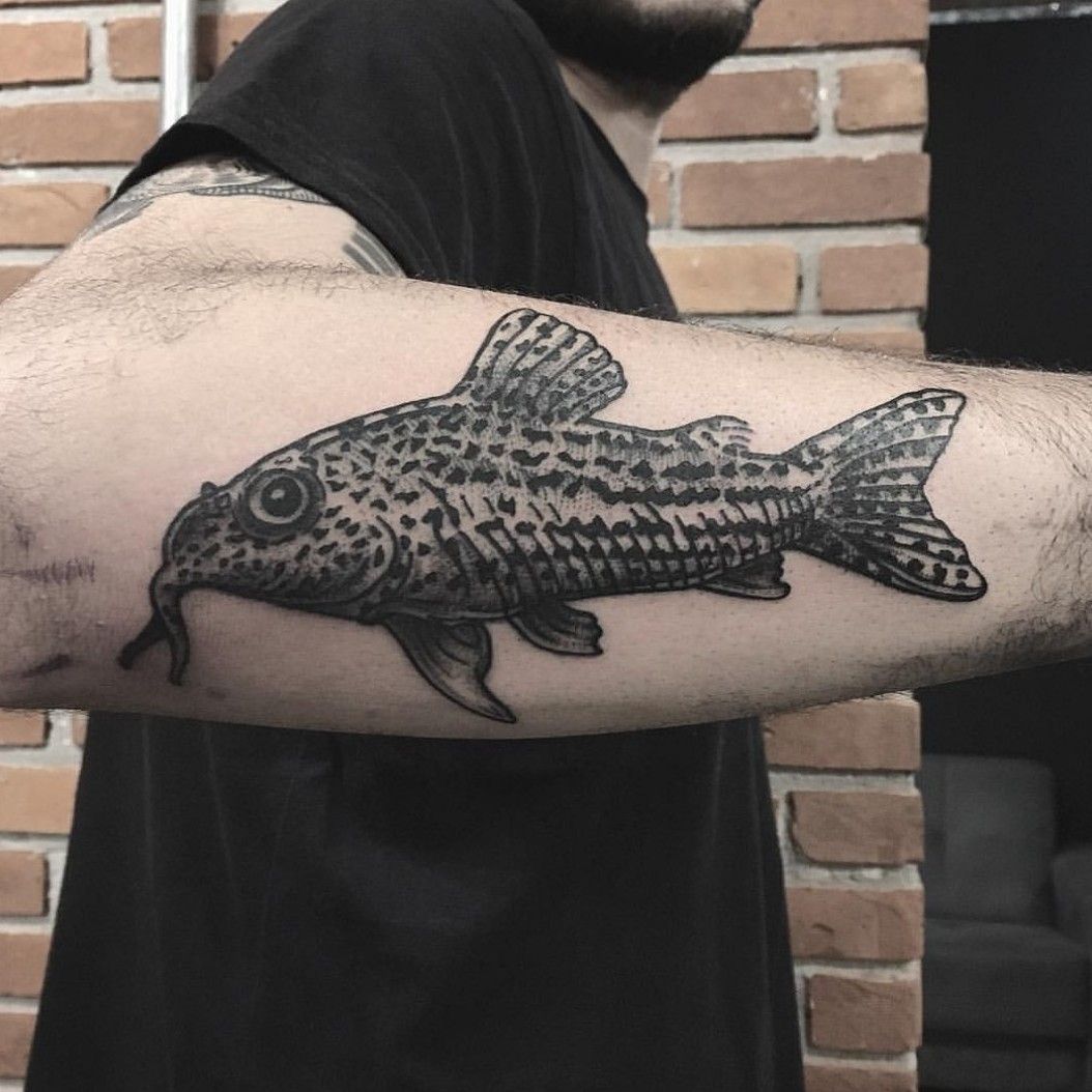 catfish pabst blue ribbon color arm tattoo by Jon von Glahn TattooNOW