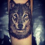 Lobo da @jessicafena.odontologia , obrigado pela preferência!#labirintotattoo #saquarema #lobo #tattoo #realistictattoo #wolf #regiaodoslagos #rj #buzios #cabofrio #araruama #realismo #tattooed #tattoedgirl