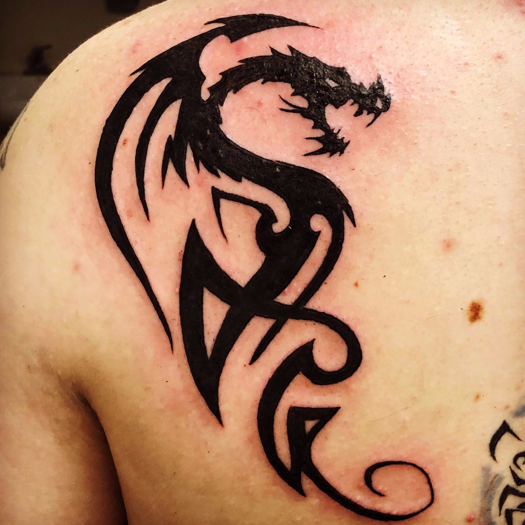 Haku fine line black work illustration dragon anime Hon tattoo | Tattoos,  Line tattoos, Fine line tattoos