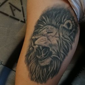 Healed lion tattoo