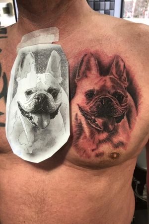 #dog #portrait #realism #blackandgrey #tattoo #mansbestfriend