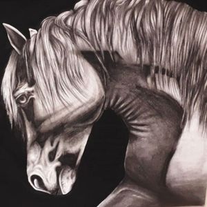 My art mock (2018) black and white horse pony
